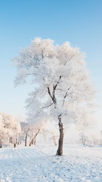 Ice and snow - Screenshot 1