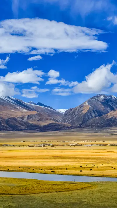 The grassland scenery at the foot of the mountain