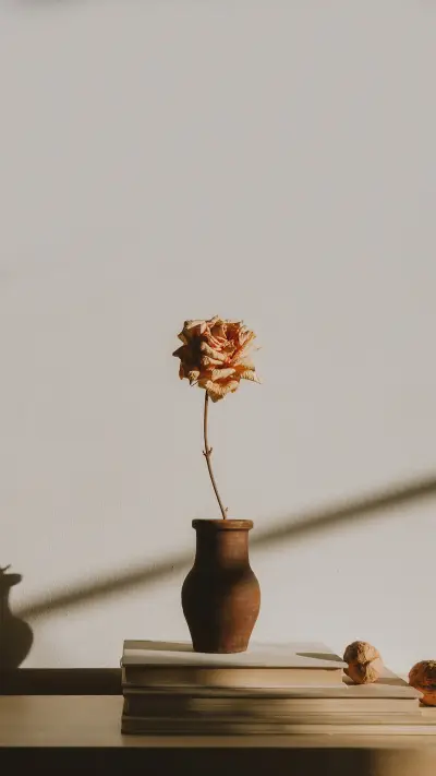 Beautiful contemporary and modern interior