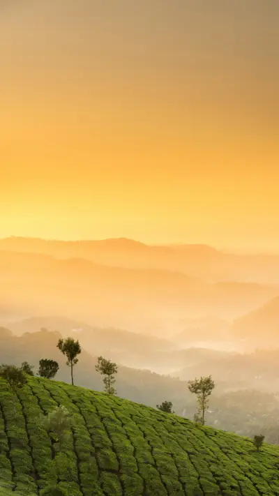 india-view - Screenshot 1