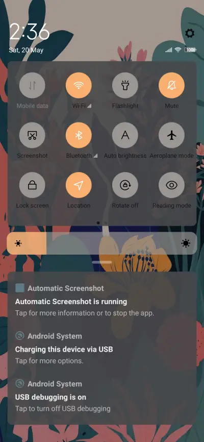 flowers fruits - Screenshot 5