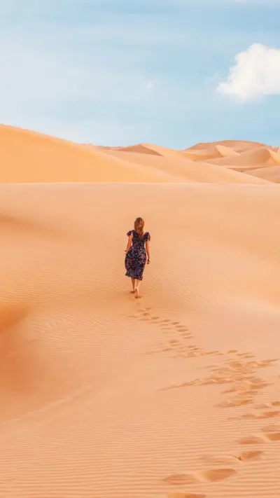 All You Need (8) - Screenshot 1