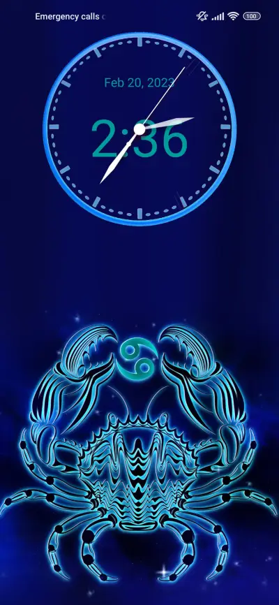 Zodiac crab - Screenshot 1