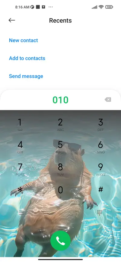 Resort capybara - Screenshot 4