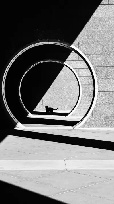 Center composition cat silhouette walking - Screenshot 1