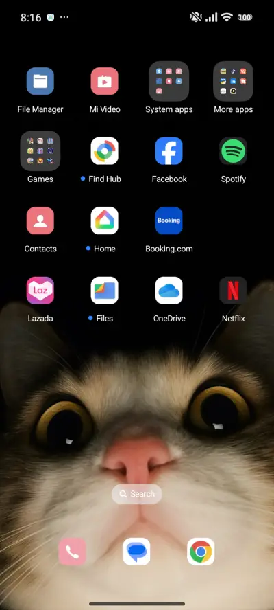 cat - Screenshot 3