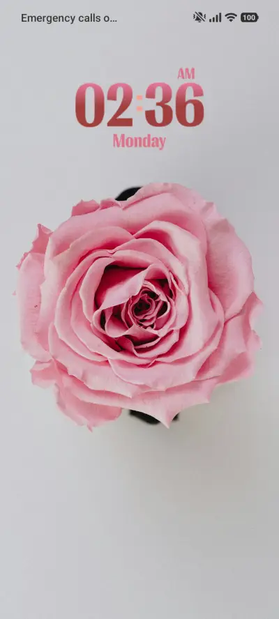 Pink Rose