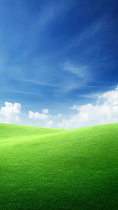 Green grass and blue sky