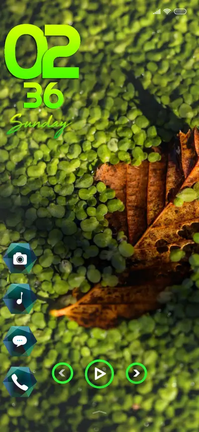 Natural Ace - Screenshot 1