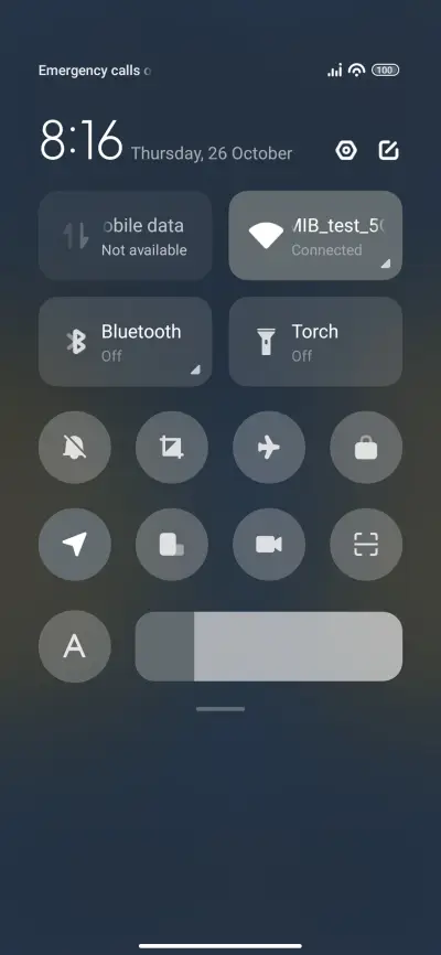 Bears - Screenshot 5