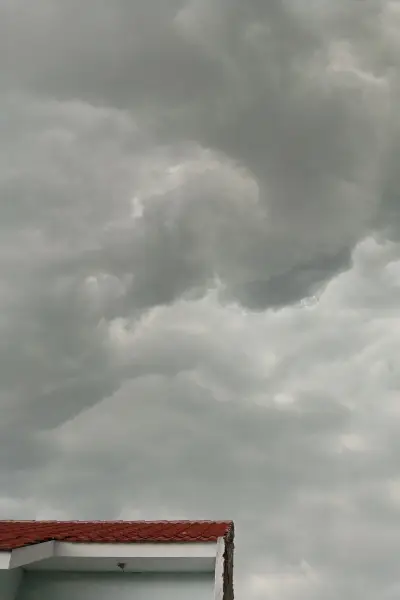 Shelter and Storm.jpg