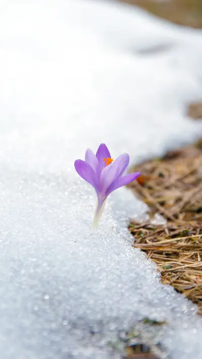 Quiet winter-11 - Screenshot 1