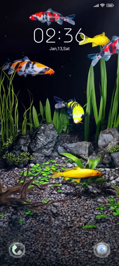 Koi In The Palm - Screenshot 2