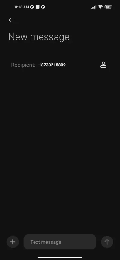 Foggy Weather - Screenshot 8