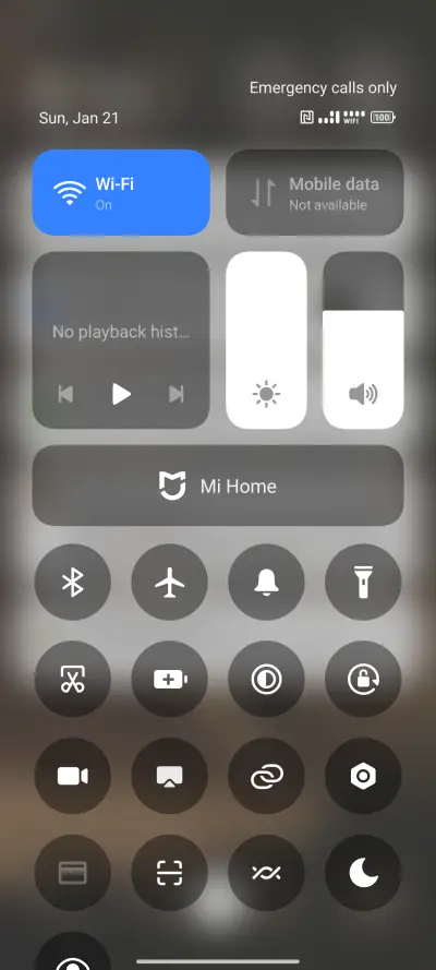 Ornament - Screenshot 5