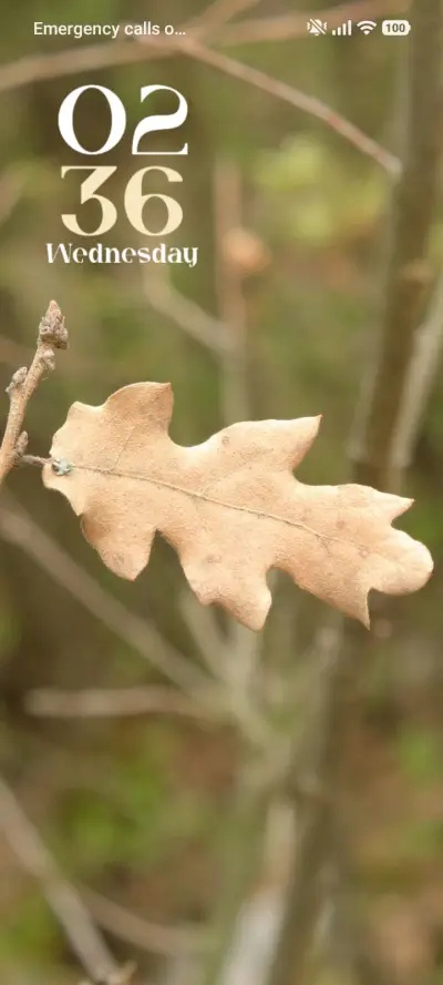 Branch Jewel - Screenshot 1