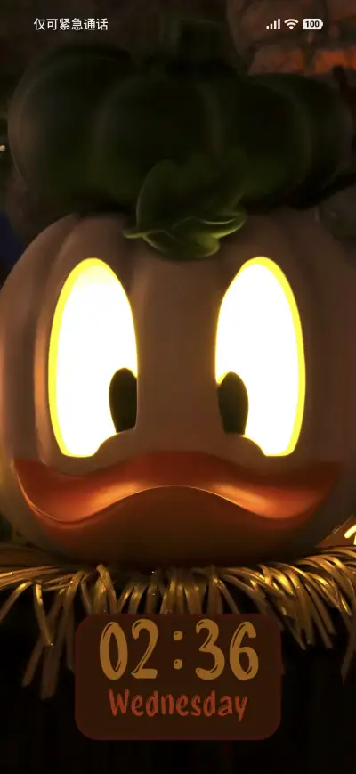 Decoration - Screenshot 1