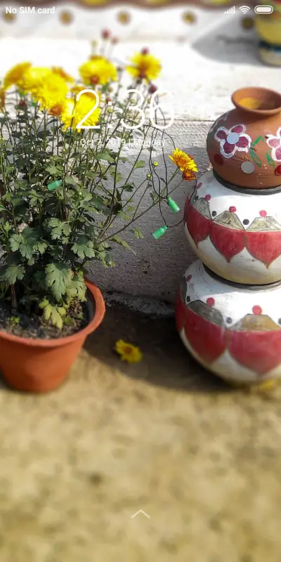 Pot_DWM2 - Screenshot 1