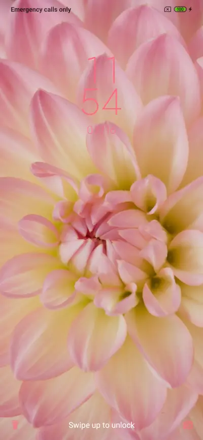 Peach Quote_3MDS - Screenshot 1