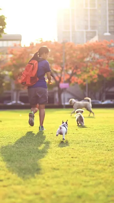 international_lifestyle (2)