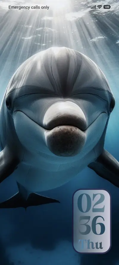 Dolphin