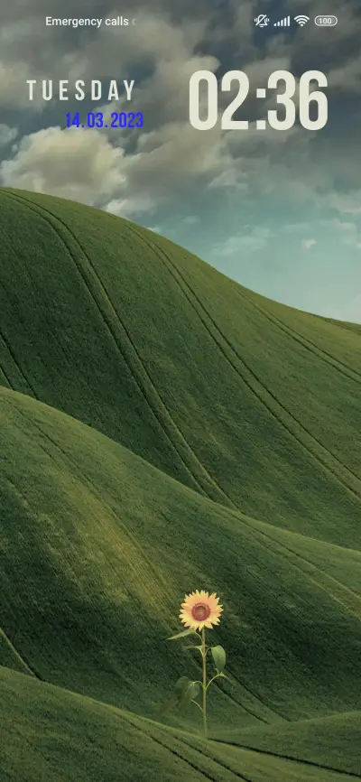 sunflower scape - Screenshot 1