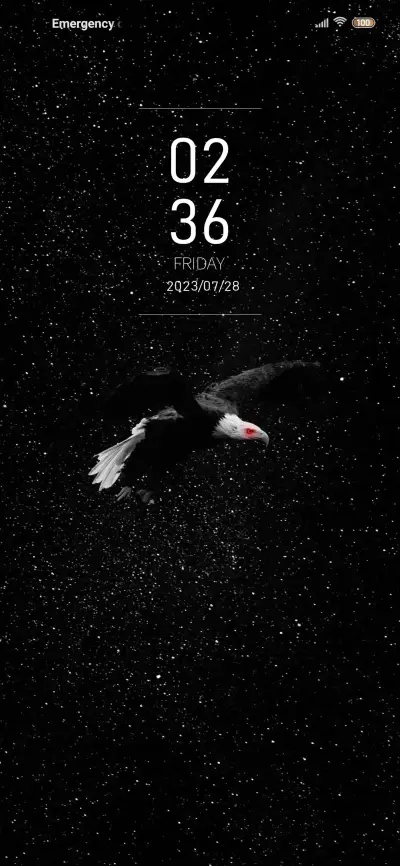 Starry Eagle - Screenshot 1