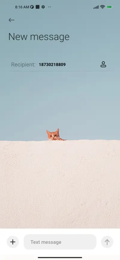 Ginger cat - Screenshot 8