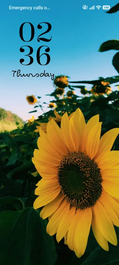 Yellow Bliss THEME for Xiaomi MIUI HyperOS
