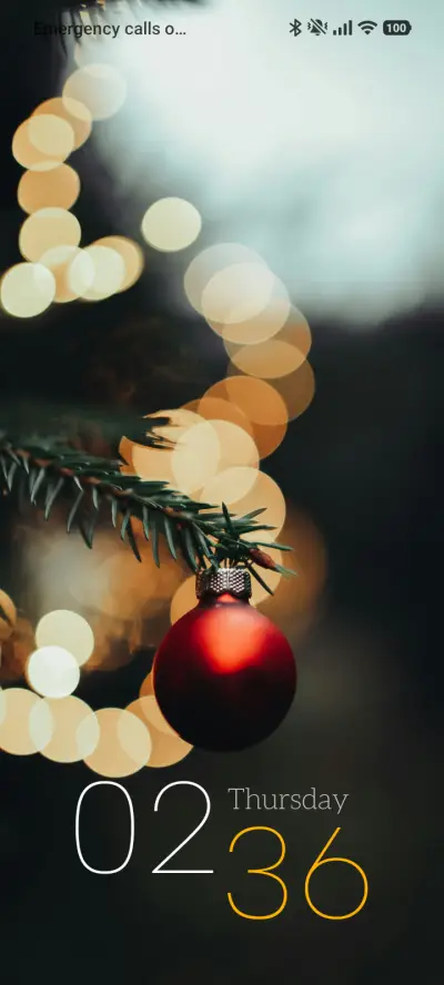 Spider Ornament - Screenshot 1