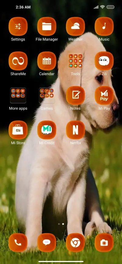 Puppy Ti - Screenshot 3