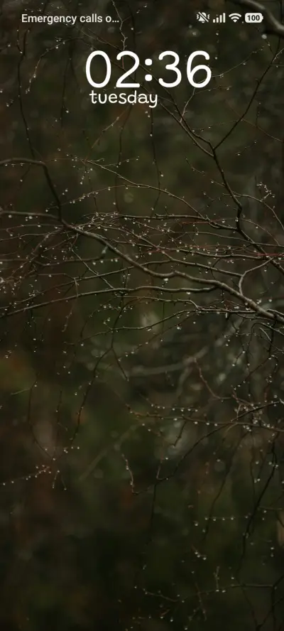 Dew Branch