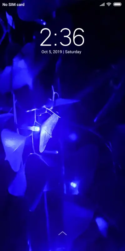 Blue Light_DWM2