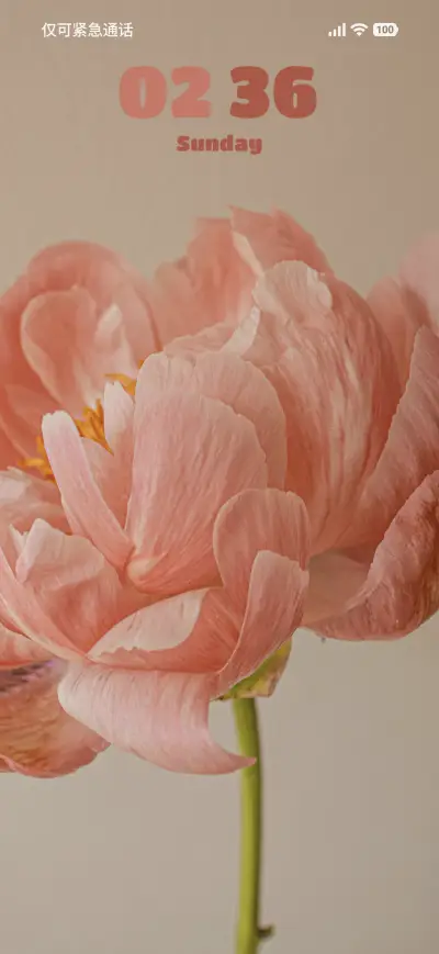 Blossom - Screenshot 1