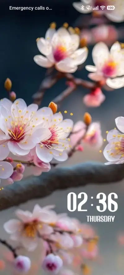 Spring - Screenshot 1