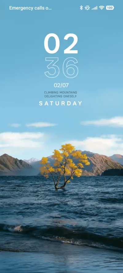 Lake Tree