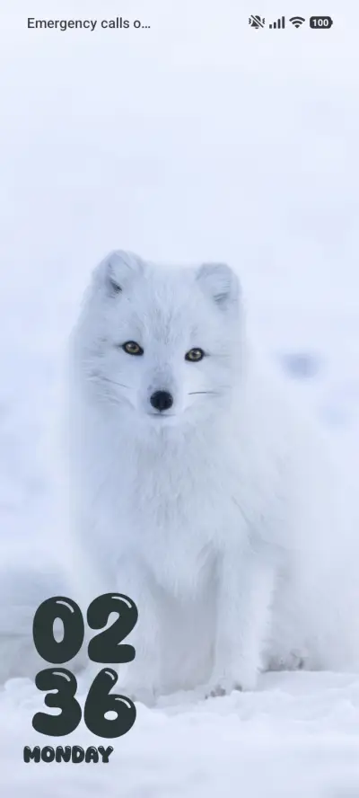 Shiver Skyfall - Screenshot 1