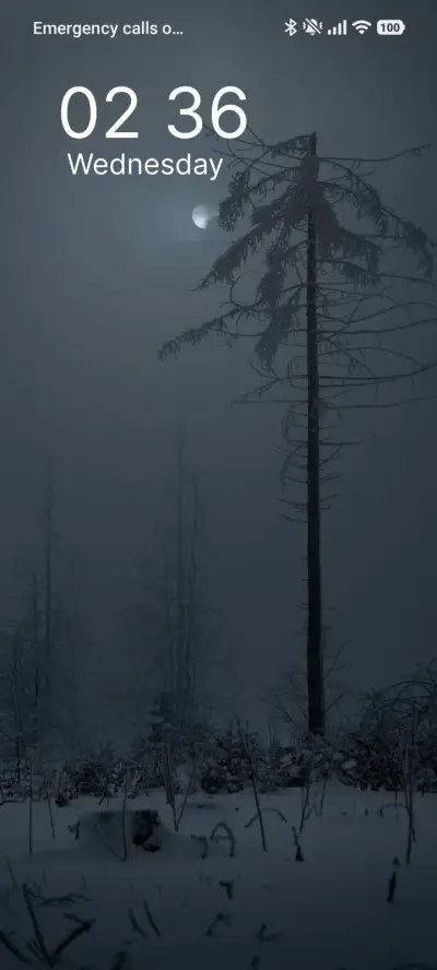 Fog Moonlight