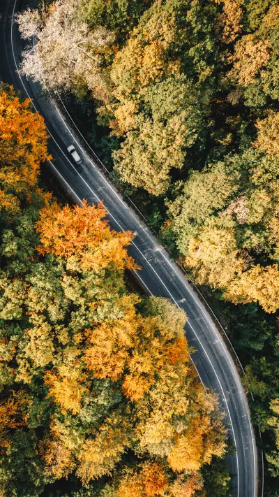 Man and nature - Screenshot 1