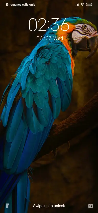 Macow_3MDS - Screenshot 1