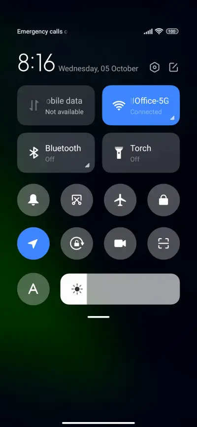 Natural_ferns - Screenshot 5