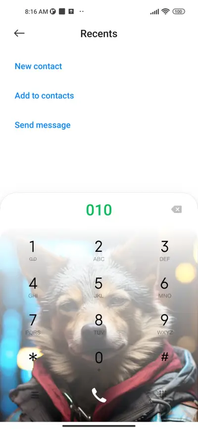 Fashionable Dogs - Screenshot 6