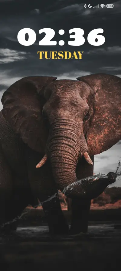 Brown Elephant - Screenshot 1