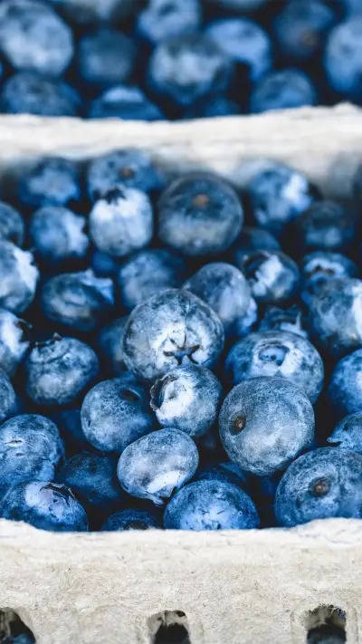 蓝蓝的梅 - Screenshot 1