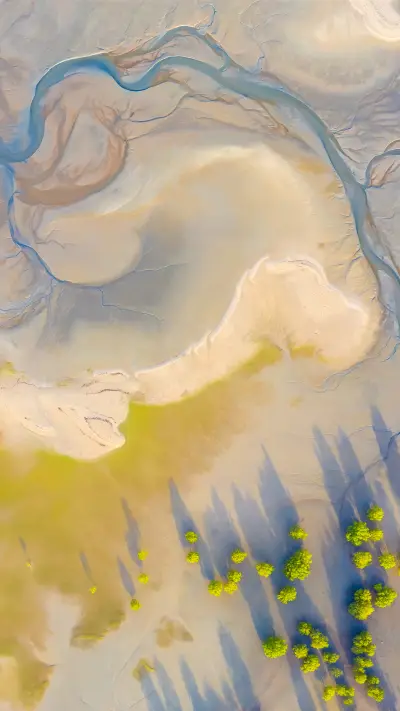 Coast Natural Shape Texture When Low Tide in Thailand - Screenshot 1