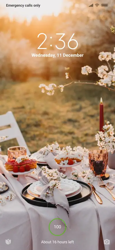 Official MIUI Theme_26