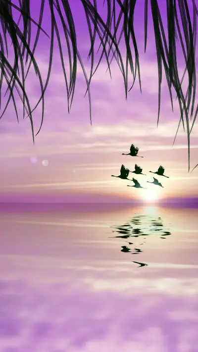 Wild geese return to the South-03