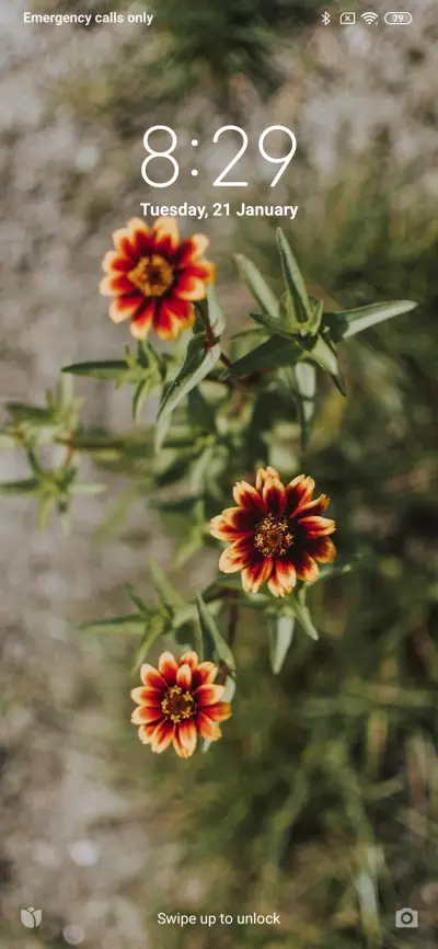 Official MIUI Theme_16