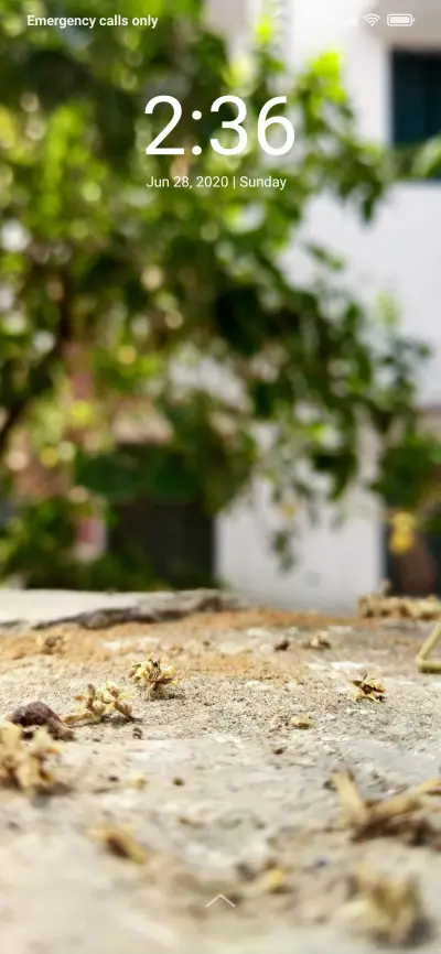 Natural Blur_DWM2 - Screenshot 1