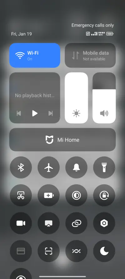 Pine Tree - Screenshot 5